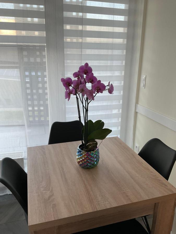 卡托维兹Apartament „Dwie Wieze”公寓 外观 照片